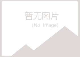 青铜峡字迹能源有限公司